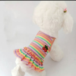 Vestitino Rainbow Strip per cani di piccola taglia