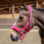 Winner by Sartore Cavezza con Lunghina Lifestyle rivestita in pile