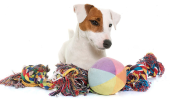 Giochi